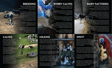 Flier pack: Deadly Dairy