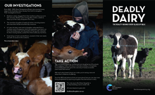 Flier pack: Deadly Dairy