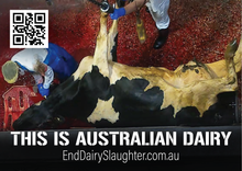 End Dairy Slaughter stickers (large)