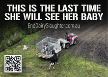 End Dairy Slaughter stickers (large)