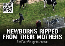 End Dairy Slaughter stickers (large)