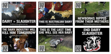 End Dairy Slaughter stickers (large)