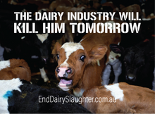 End Dairy Slaughter stickers (small, packs of 20)