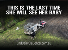 End Dairy Slaughter stickers (small, packs of 20)