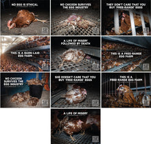 Eggs Uncaged stickers