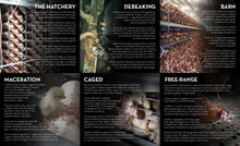 Flier pack: Eggs Exposed