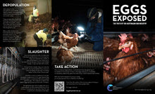 Flier pack: Eggs Exposed