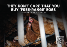 Eggs Uncaged stickers