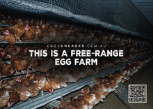 Eggs Uncaged stickers