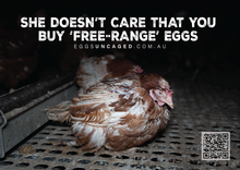 Eggs Uncaged stickers