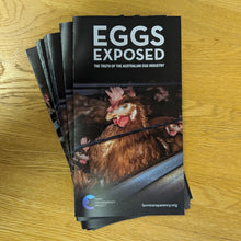 Flier pack: Eggs Exposed
