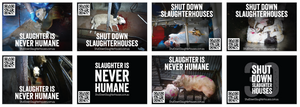 Shut Down Slaughterhouses stickers (large - new design)