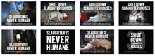 Shut Down Slaughterhouses stickers (small, packs of 20, new design)