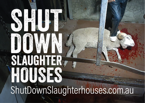 Shut Down Slaughterhouses stickers (large)