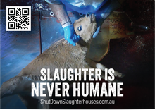 Shut Down Slaughterhouses stickers (large - new design)