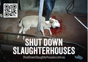 Shut Down Slaughterhouses stickers (large - new design)