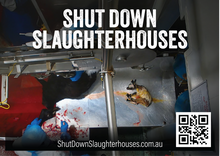 Shut Down Slaughterhouses stickers (large - new design)