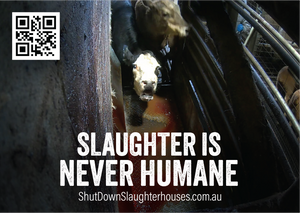 Shut Down Slaughterhouses stickers (large - new design)