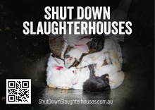 Shut Down Slaughterhouses stickers (large - new design)