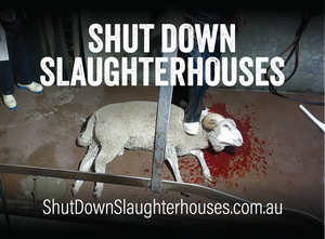 Shut Down Slaughterhouses stickers (small, packs of 20, new design)