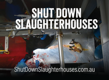 Shut Down Slaughterhouses stickers (small, packs of 20, new design)