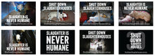 Shut Down Slaughterhouses stickers (small, packs of 20, new design)