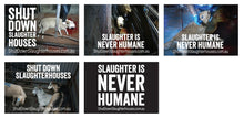 Shut Down Slaughterhouses stickers (small, packs of 20, old design)