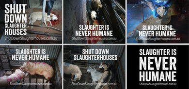 Shut Down Slaughterhouses stickers (large)